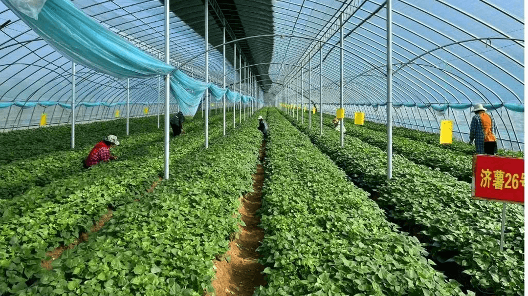 工行临沂分行依托种植e贷助力春耕备耕见实效